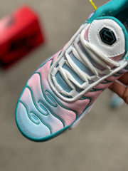 NIKE TN multicolor (MÁXIMA CALIDAD)